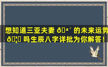 想知道三亚夫妻 🪴 的未来运势 🦅 吗生辰八字详批为你解答！